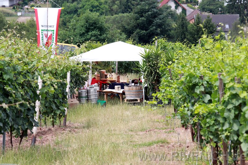 Mittsommerfest 2017 – Bild 116